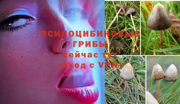 бутик Баксан